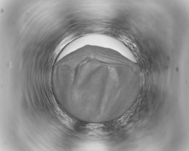 X0000088630051200706221530
