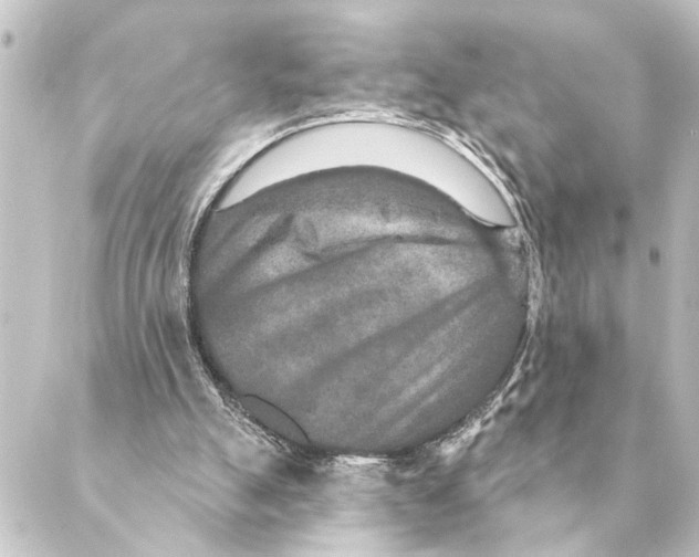X0000088630055200706221530