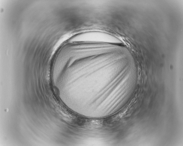 X0000088630056200706221530