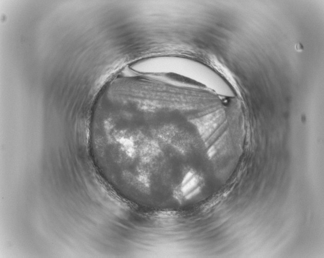 X0000088630059200706221530