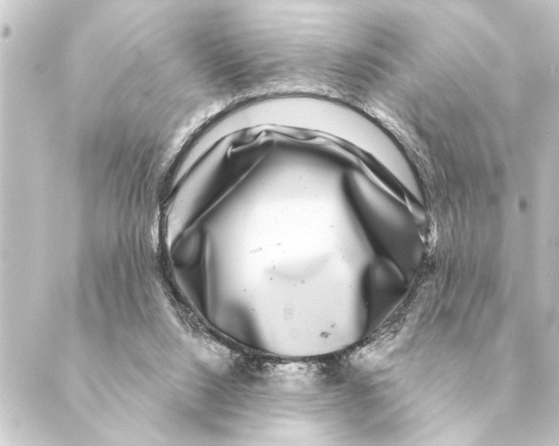 X0000088630064200706221530