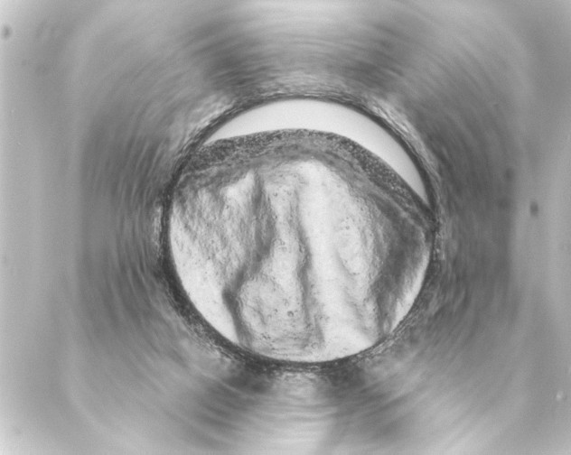 X0000088630066200706221531