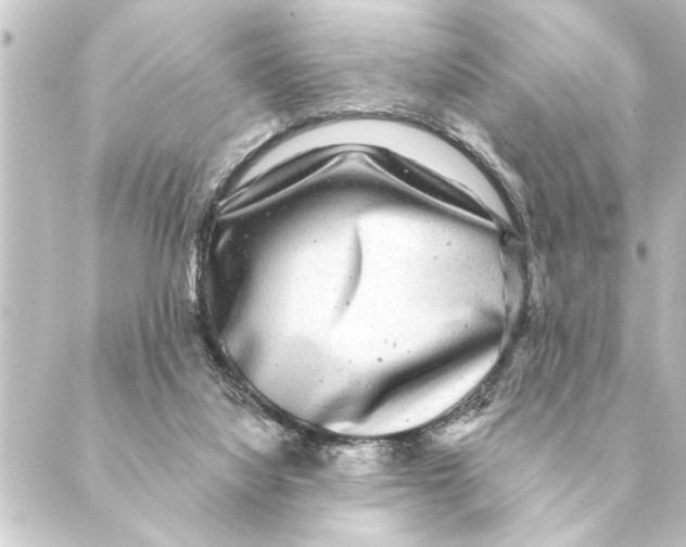 X0000088630068200706221531