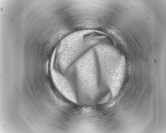 X0000088630070200706221531