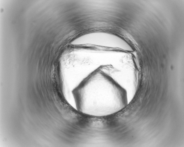 X0000088630073200706221531