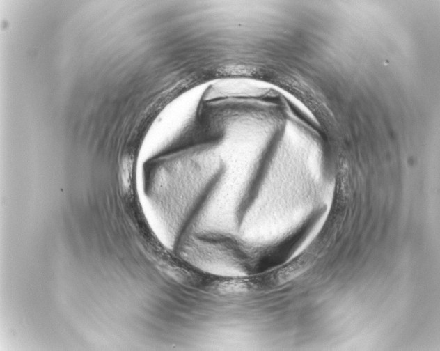 X0000088630075200706221531