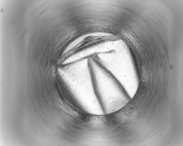 X0000088630077200706221531