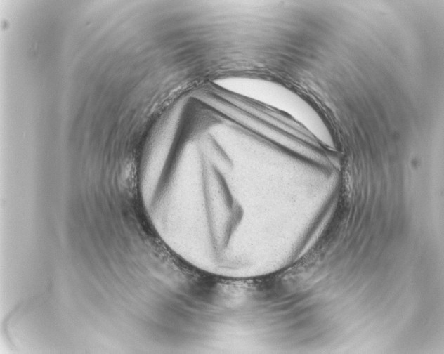 X0000088630079200706221531