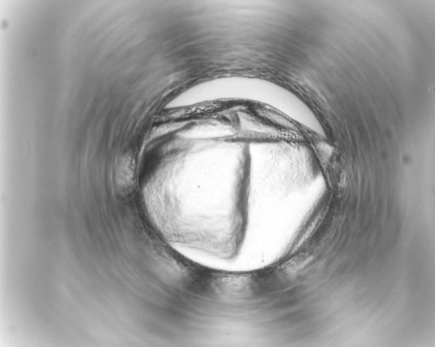 X0000088630081200706221531