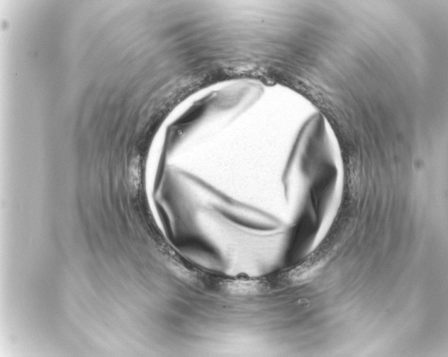 X0000088630085200706221531