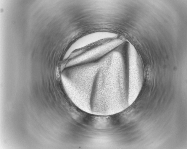 X0000088630089200706221531