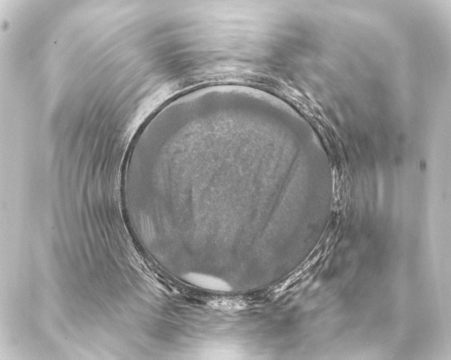 X0000088630099200706221530