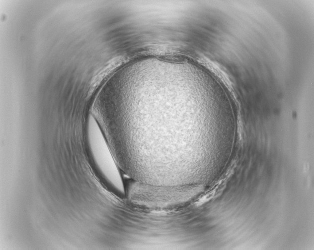 X0000088630105200706221530