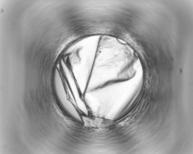 X0000088630107200706221530