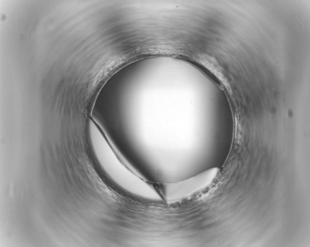 X0000088630109200706221530