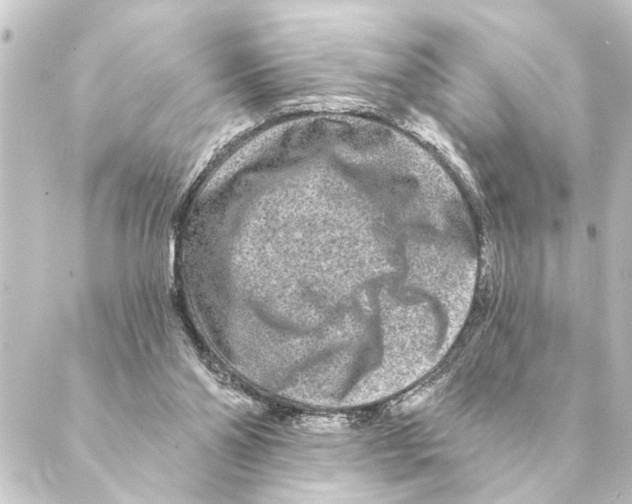 X0000088630110200706221530