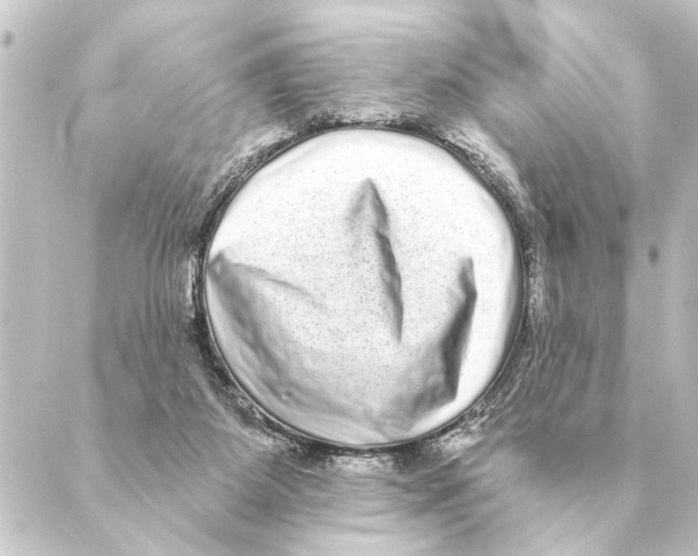 X0000088630115200706221530