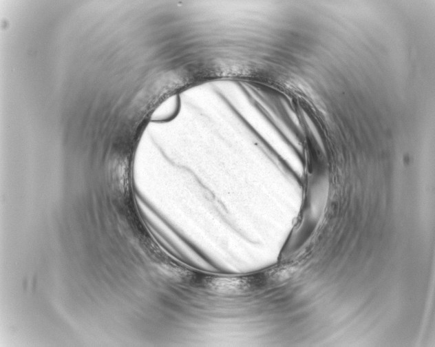 X0000088630123200706221530