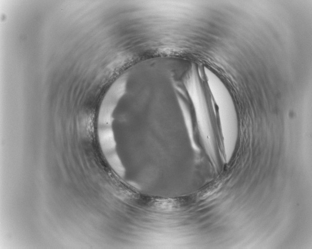 X0000088630127200706221530