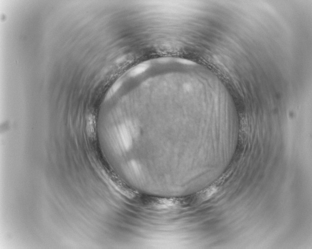 X0000088630130200706221530