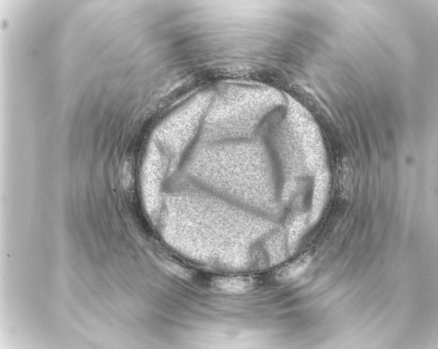 X0000088630131200706221530