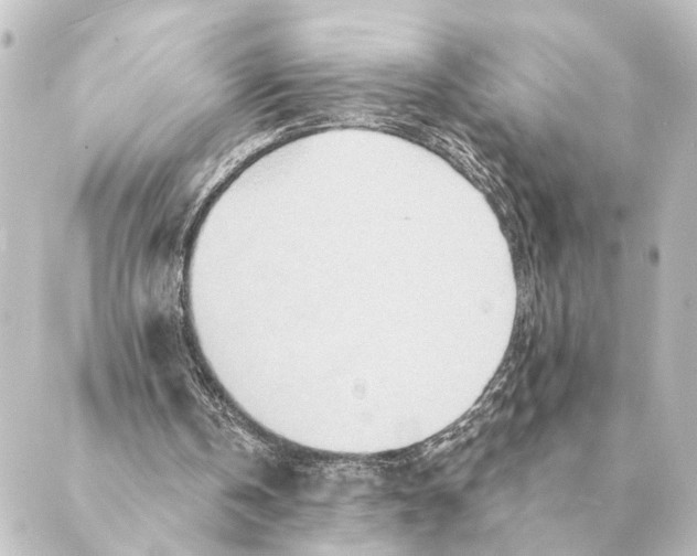 X0000088630146200706221529