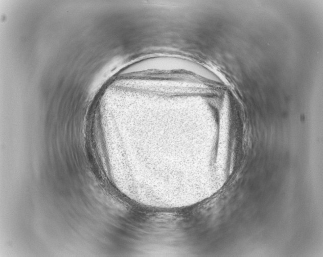 X0000088630151200706221529
