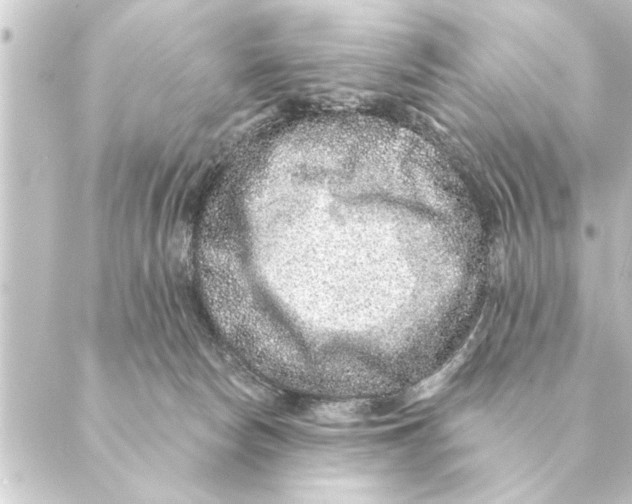 X0000088630178200706221529