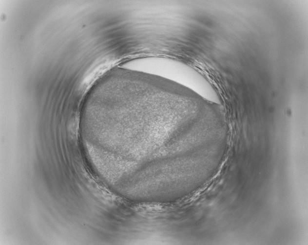 X0000088630194200706221529