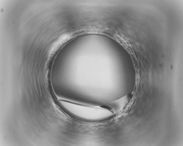 X0000088630197200706221529