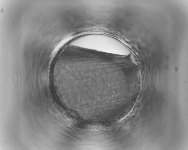X0000088630200200706221529