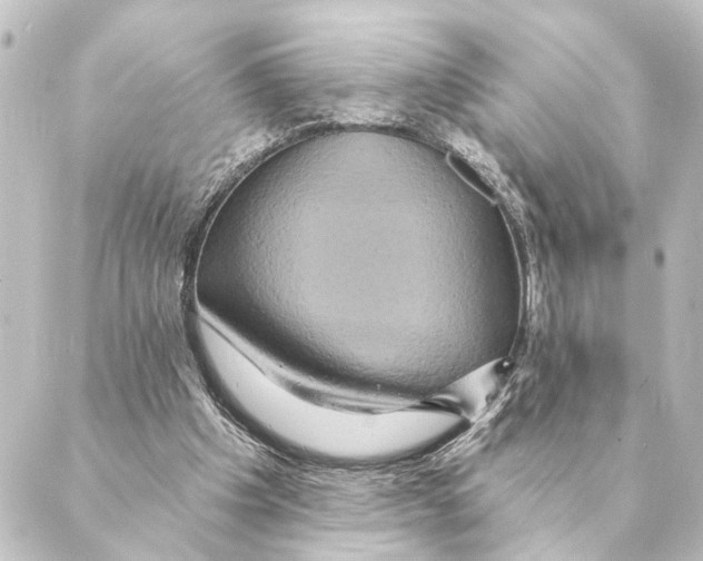 X0000088630201200706221529