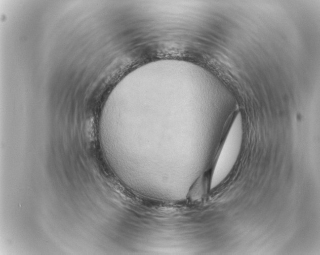 X0000088630224200706221528