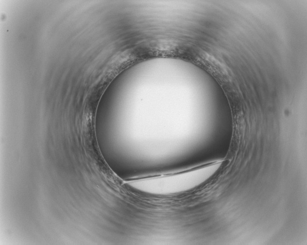 X0000088630225200706221528