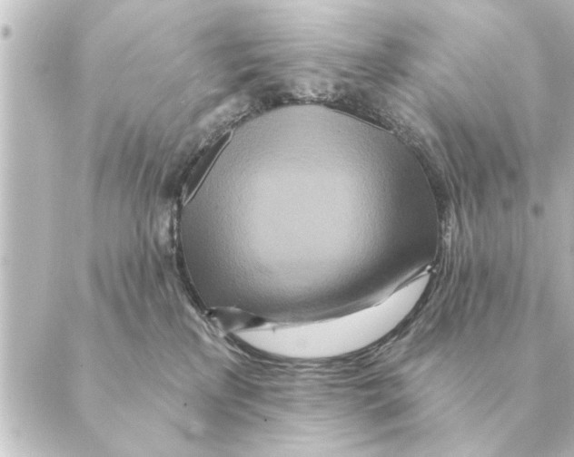 X0000088630233200706221528