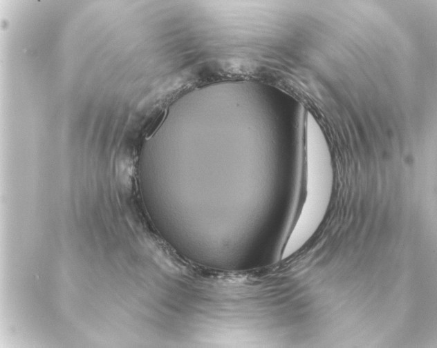 X0000088630235200706221528