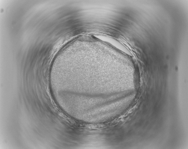 X0000088630241200706221527