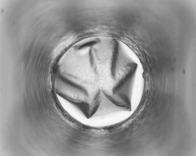 X0000088630245200706221527