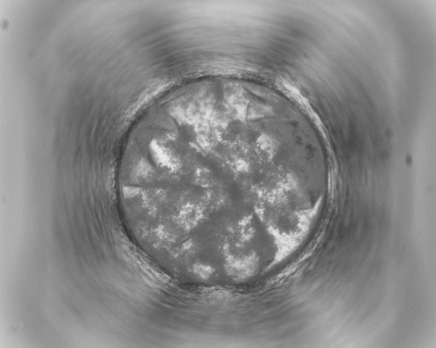 X0000088630249200706221527