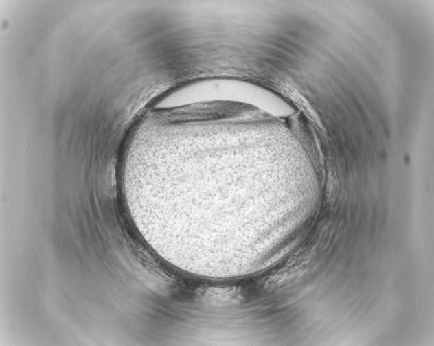 X0000088630251200706221527