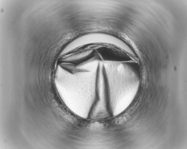 X0000088630257200706221527