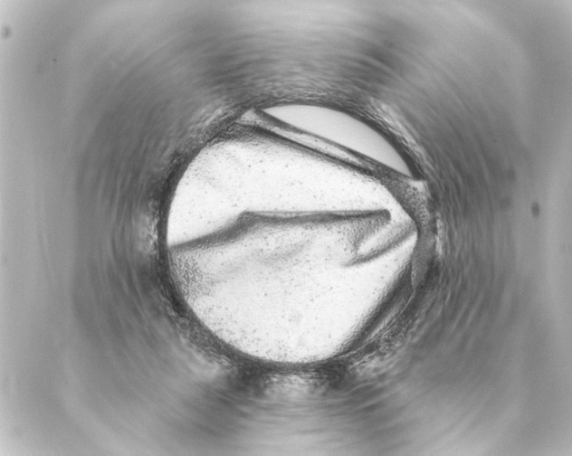 X0000088630259200706221527