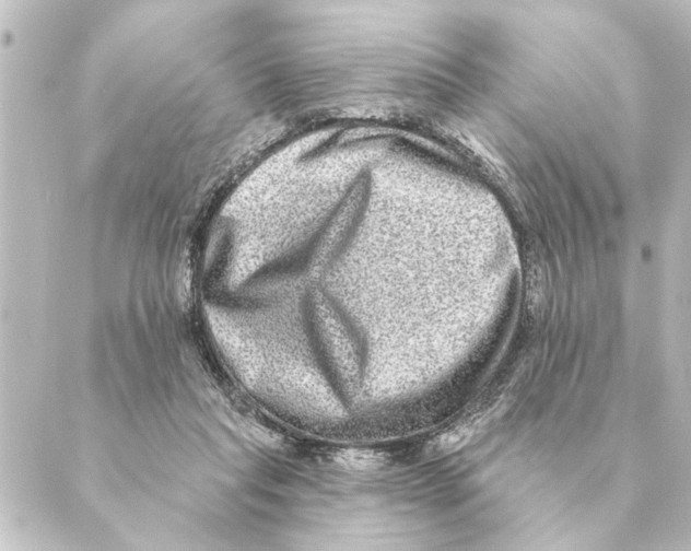 X0000088630261200706221527