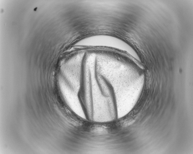 X0000088630263200706221527