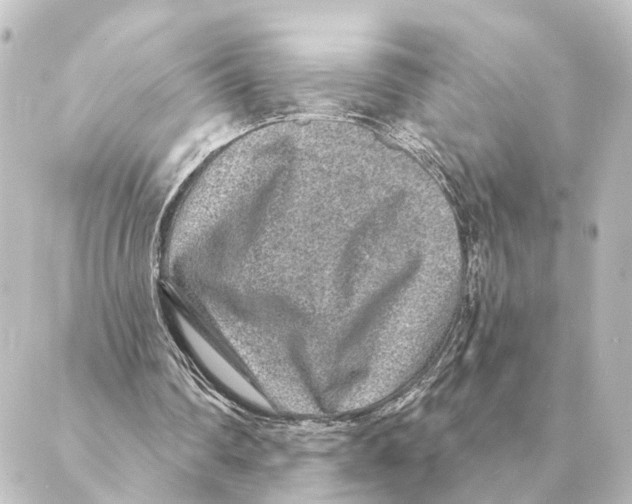 X0000088630290200706221527