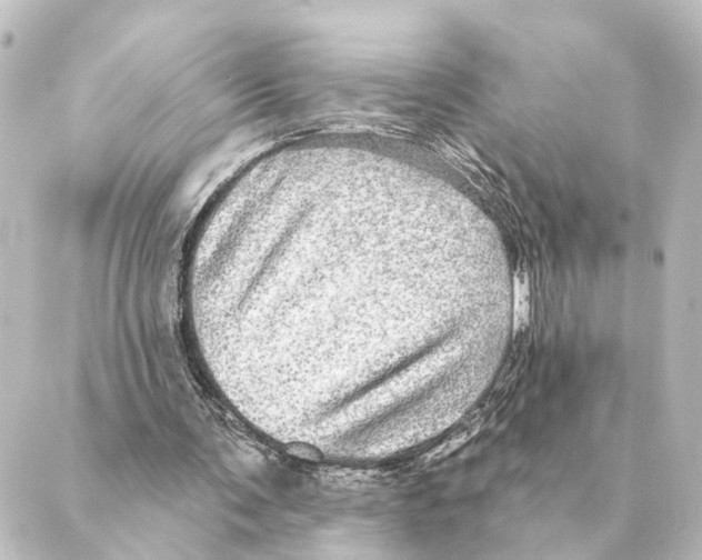 X0000088630291200706221527