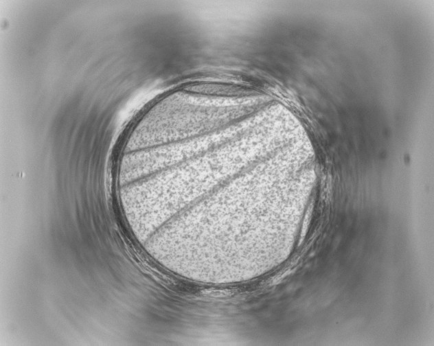 X0000088630294200706221527