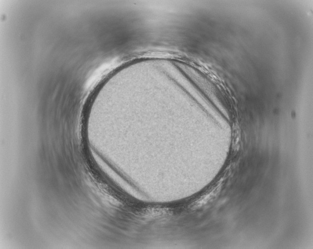 X0000088630296200706221527