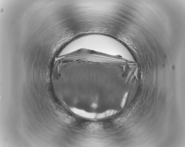 X0000088630303200706221527