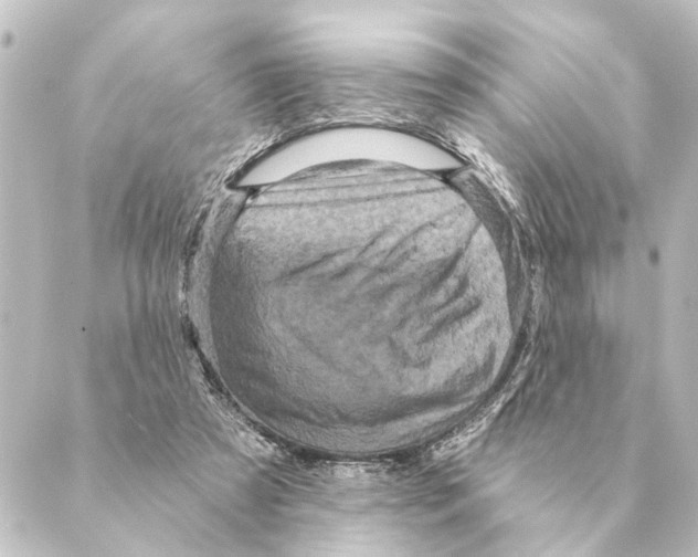 X0000088630305200706221527